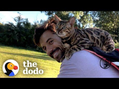 Cat Insists On Jumping Onto Her Dad's Shoulders For Bike Rides #Video