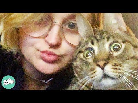 Nobody Wanted This Cat. Girl Adopts and They Become Friends for Life #Video