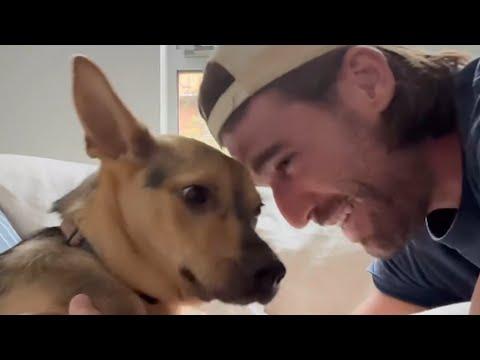 Guy falls in love with rescue puppy