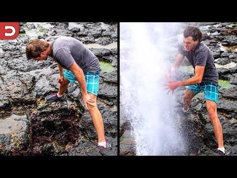 The Dumbest Human Moments On The Internet | YOUR Daily Dose of Internet #Video