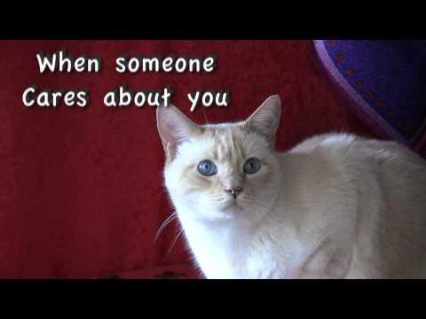 Cats Valentine - Love Is ... Furball Fables
