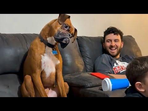 When Dogs Learn From Their Owners a Little Too Well #Video