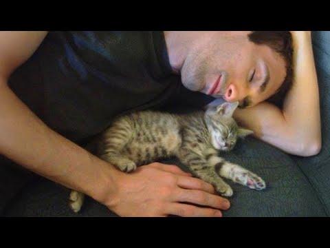 Nothing is better than the love of a cat! #Video