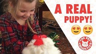 Best Gift Ever | People Getting Surprised With Puppies