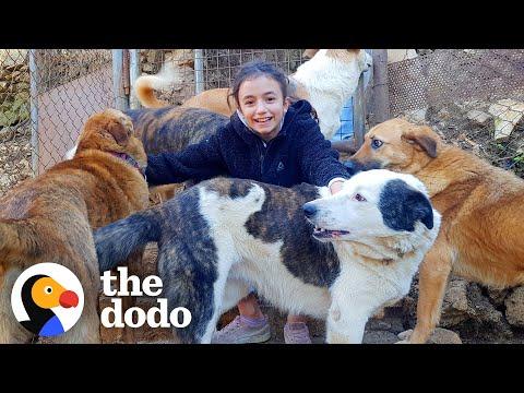 11 Year Old Girl From Lebanon Rescues Dog And Flies Them To Canada #Video