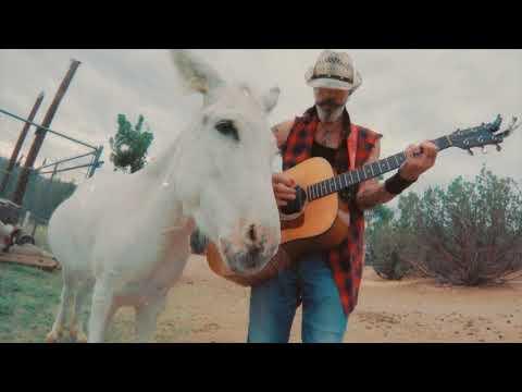 Heaven the Donkey loves classic rock music #Video