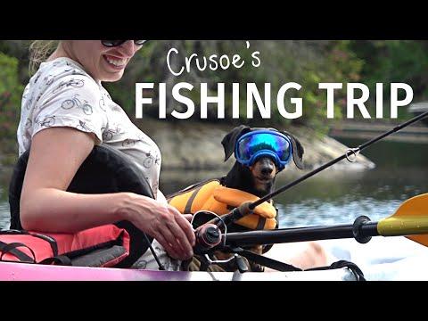 Crusoe the Dachshund's Fishing Trip on his own PRIVATE LAKE