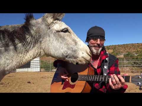 Hazel the Donkey Light My Fire #Video