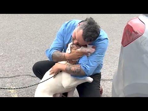 Man learns his adopted dog is someone else's. His response is perfect. #Video