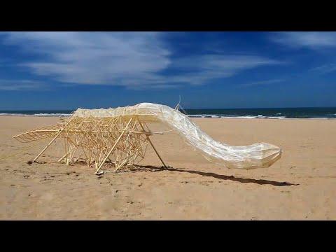 Strandbeests - New Living Species Found In The Netherlands #Video