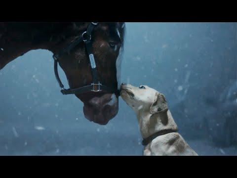 Budweiser | Super Bowl LVIII Old School Delivery #Video