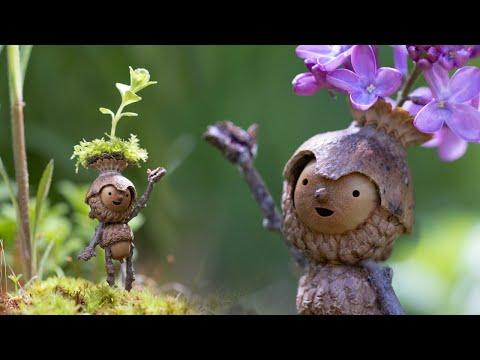 Springtime Hats! Becorns | David M Bird #Video