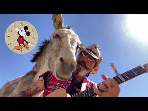 Hazel the donkey #Video
