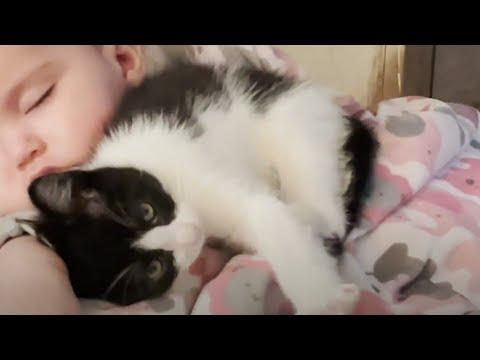 Tiny Rescue Kitten Refuses To Leave Baby Sister's Crib #Video