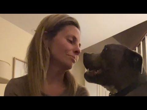 Dog's so loving to woman after heartbreak #Video