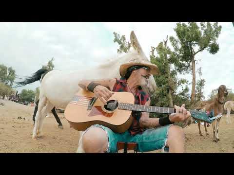 A donkey named Heaven being very jealous #Video