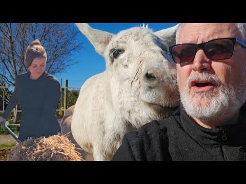 Suspect package causes chaos #Video