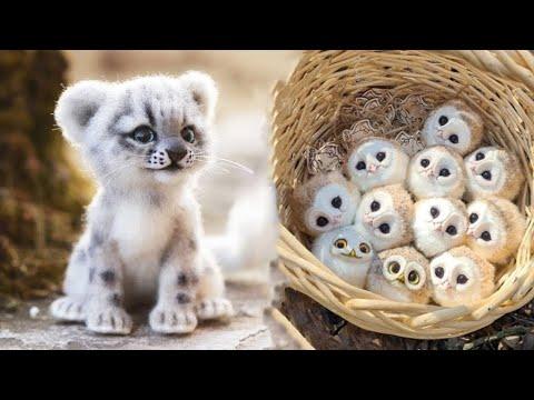 AWW SO CUTE! Cutest baby animals Videos Compilation Cute moment of the Animals - Cutest Animals #4
