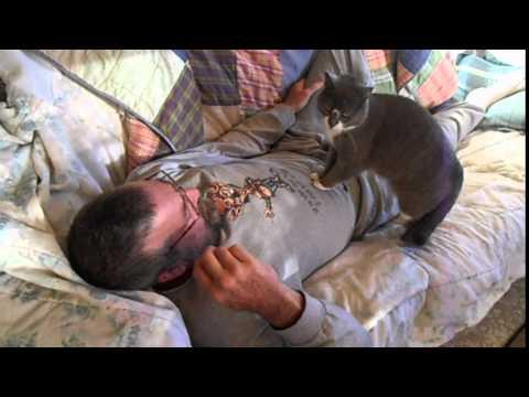 Cat Gives Man CPR