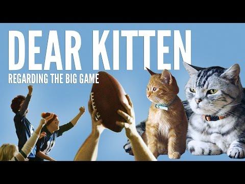 Dear Kitten: Regarding The Big Game