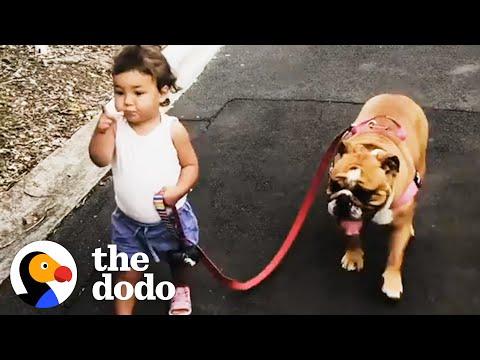 Little Girl Grows Up With Dog BFF — And Introduces Him To Her New Brother #Video