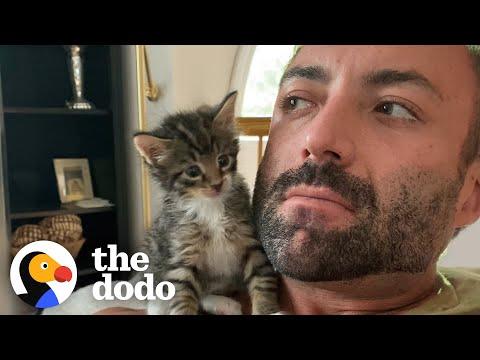 Phone-Sized Kitten Turns Guy Into A Cat Person #Video