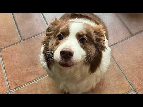 Video Of The Day!