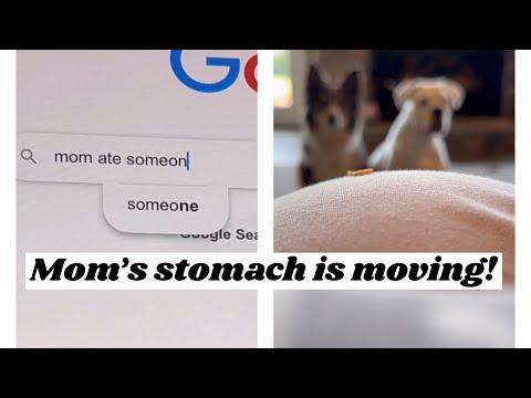 When Mom’s stomach moves on it’s own - Layla The Boxer #Video