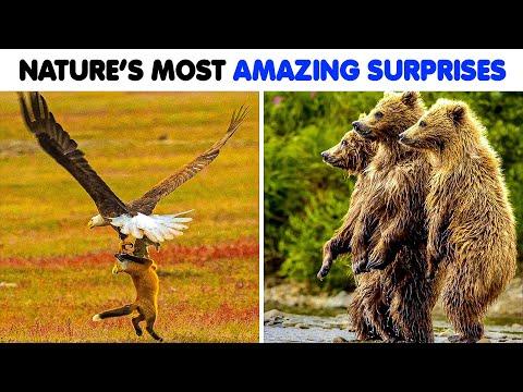 The Most Shocking Things Nature Has To Offer #Video