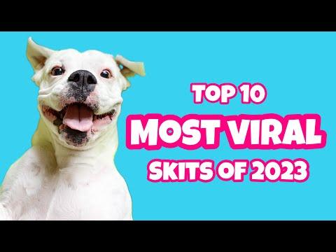 Layla the Boxer’s Most Viral Skits of 2023 #Video
