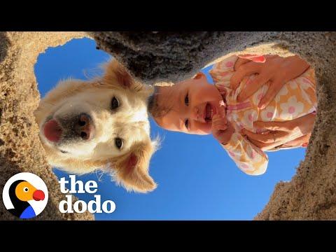 When You Thought Raising A Baby AND A Dog Would Be Harmless... #Video