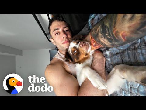 Guy Gets A Dog After A Breakup And... #Video