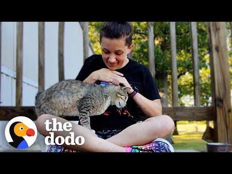 Girl Visits Abandoned Cat Every Day Until He Follows Her Home #Video