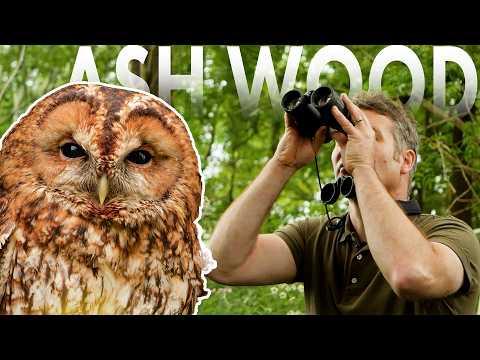 Building A Wildlife Habitat for Owls, Kestrels & More | Robert E Fuller