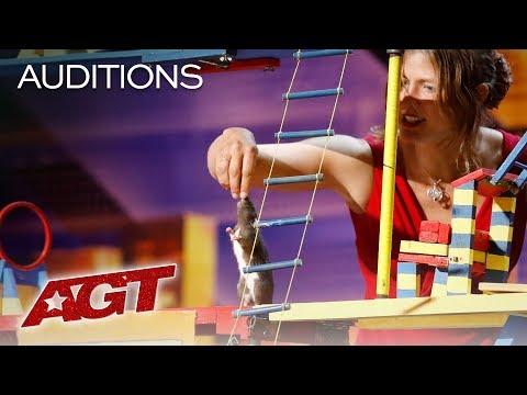 WHAT?! A Trained Rat Takes Over The AGT Stage! - America's Got Talent 2019