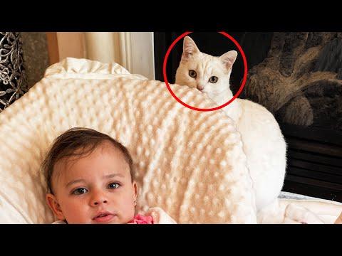 This Evil Cat Hated Everyone — Until She Chose Me #Video