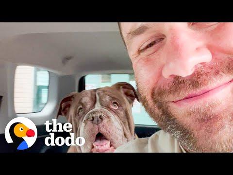 Guy Rescues The Oldest Dogs Out Of The Shelter #Video