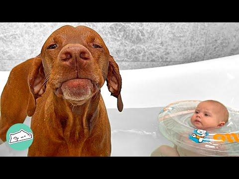 Dog Was in Baby's Life from Day One. They do Everything Together #Video