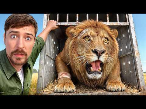 I Saved 1,000 Animals From Dying | MrBeast #Video