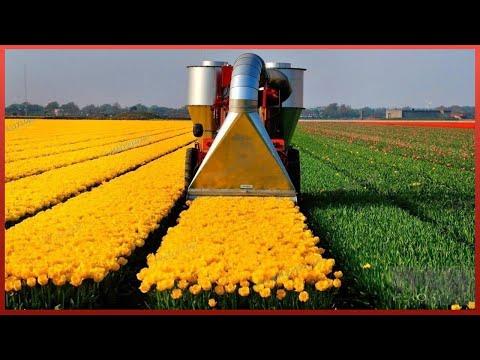 Modern Agriculture Machines That Are At Another Level No14 #Video