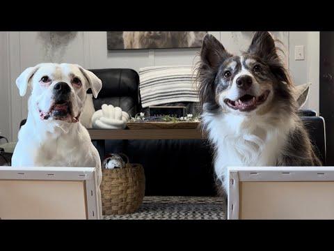 When Dogs Learn to Paint | Bob Ross Style #Video