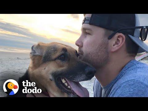 Pro Baseball Player Writes Open Letter To His Dog #Video