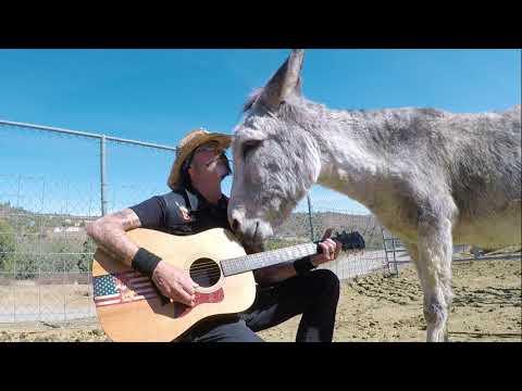 The Sweetest Donkey In The World Video