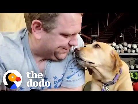Dog Rescued From Puppy Mill Loves Going To Crossfit With Her Dad #Video