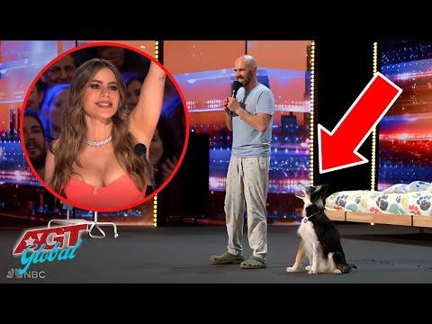 Hurricane The Dog is a New Star on AGT 2023 #Video
