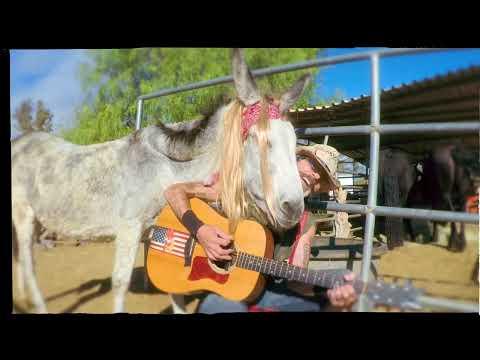 Hazel the donkey demands to hear a Poison classic by dressing as Bret Michaels #Video