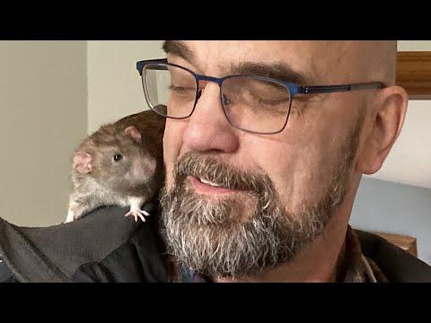 Man does the sweetest thing for rat #Video