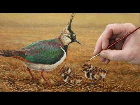 Painting a Northern Lapwing & Chicks | Wildlife Art | Robert E Fuller #Video
