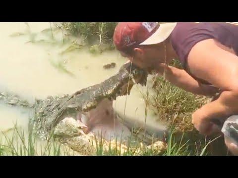 Man Kisses Alligator | Only In Florida #Video