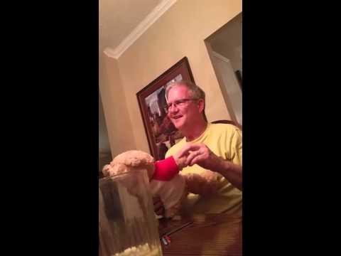 Man Gets The Most Beautiful News From A Teddy Bear